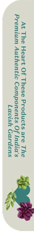 Image of Personal-Care